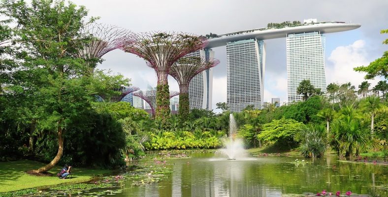 singapore 6