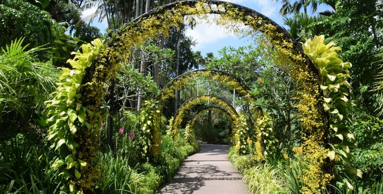 singapore 9 botanical garden